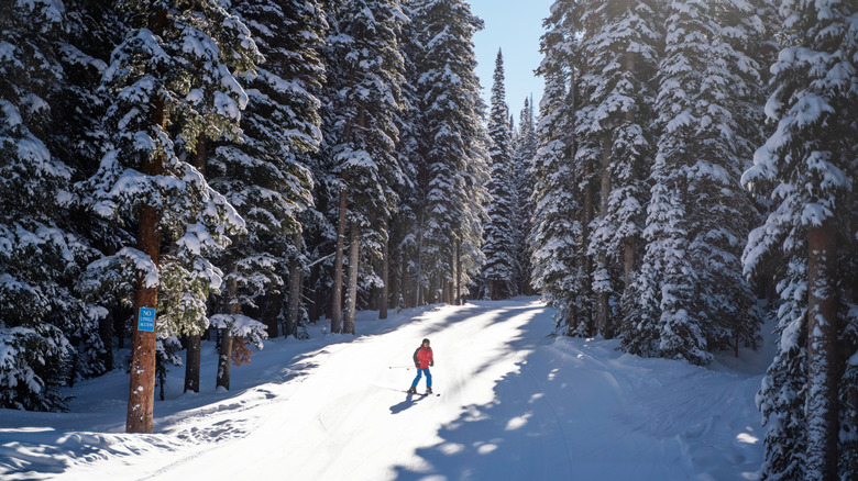 Teen skier in Telluride, Colorado