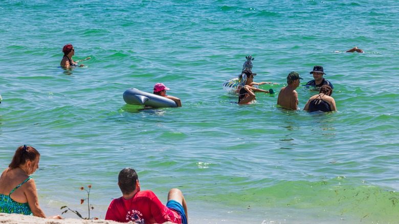 People swimming in ocean in Florida