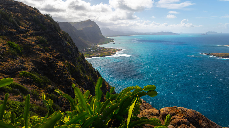 Cliffs with tropical plants overlooking blue ocean with cloudy sky