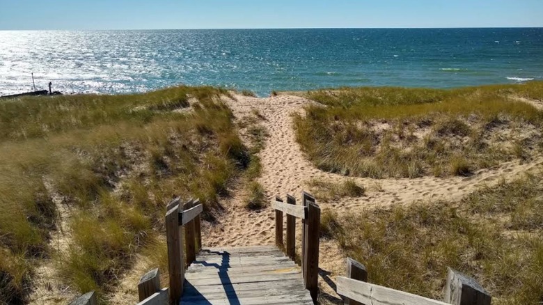 A boardwalk heading to the sands of Lake Michigan.