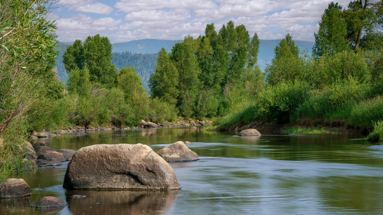 The Yampa River along the Flat Tops Trail Scenic Byway