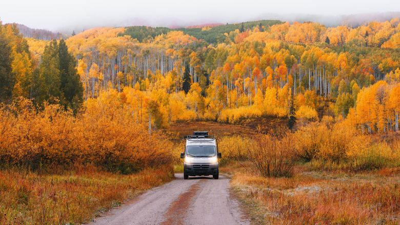 A car driving through Colorado's wilderness