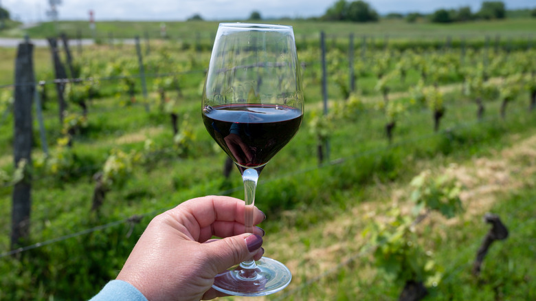 Persona's hand holding wine glass in front of green field at a Cahors vineyard