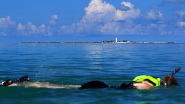 A snorkeler glides through the Dry Tortugas waters with Loggerhead Lighthouse in the background
