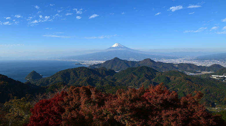 The view from the Izu Panorama Park, with the towering Mount Fuji in the background