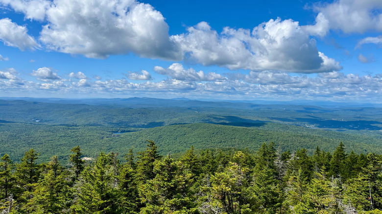 View from the top of Cardigan Mountain
