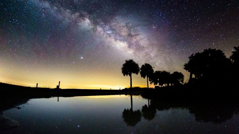 People camping in Kissimmee Prairie Preserve State Park under a starry night sky