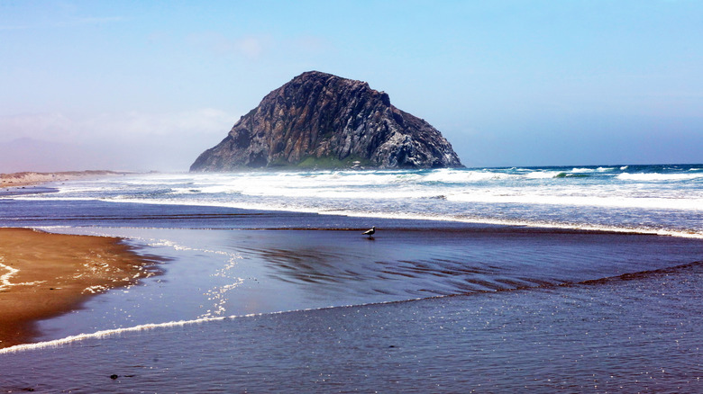 Waves breaking around Morro Rock at Morro Strand State Beach.