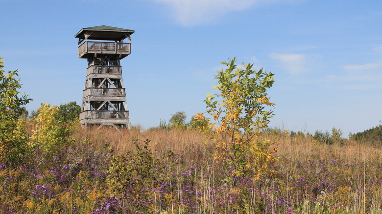 Tower at Mequon Nature Preserve