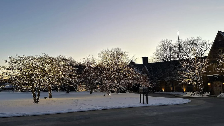 Trees covered in white Christmas lights outside a lodge in the snow at dusk