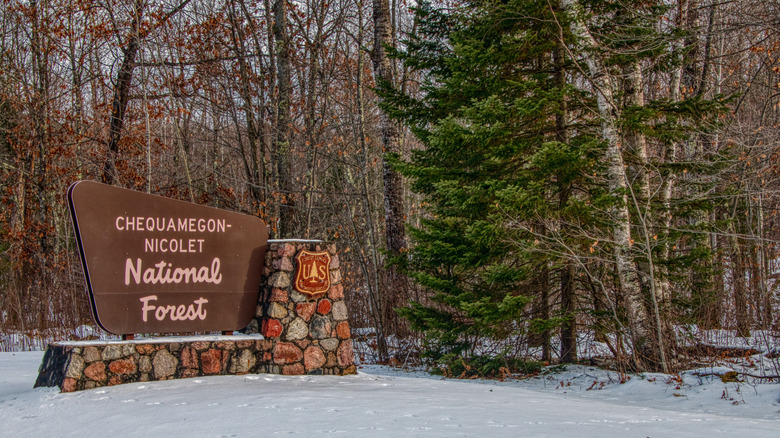 Chequamegon-Nicolet National Forest in North Wisconsin