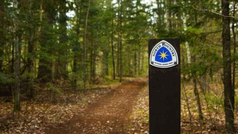Scenic trail in Mellen, near Cable, WI