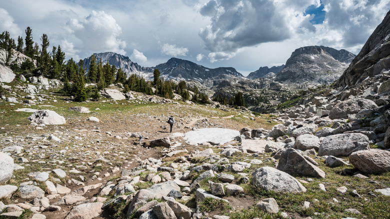 Woman and her dog hiking through the Wind River Range in Pinedale, Wyoming