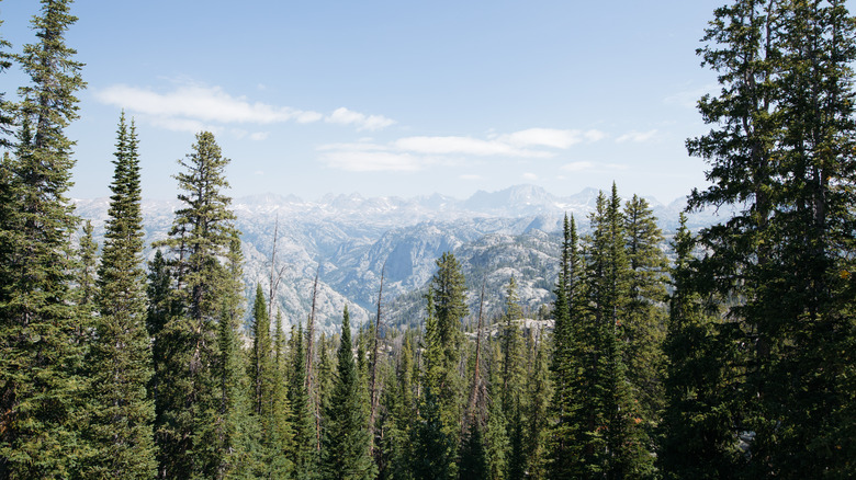 The view from Photographer's Point in Wyoming
