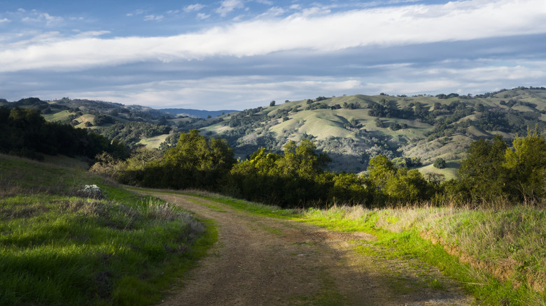 Henry Horton State Park trail and rolling hills