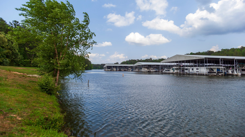The boat marina at Pickwick Landing State Park, Tennessee