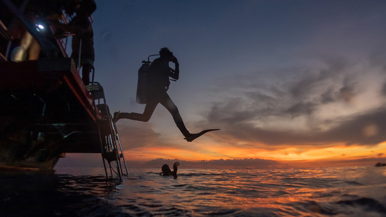 Diver taking a giant stride off diving boat