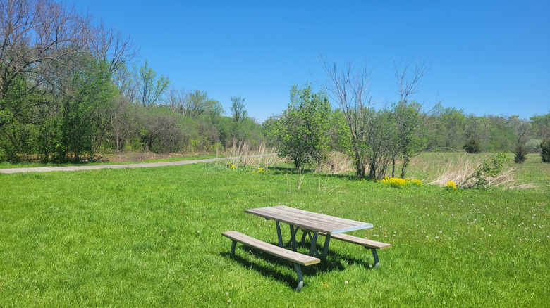Picnic table at a park in Tinley Park