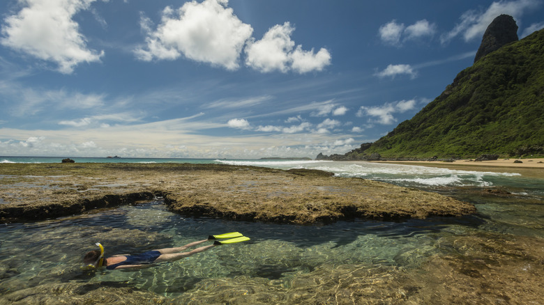 snorkeling low tide beach