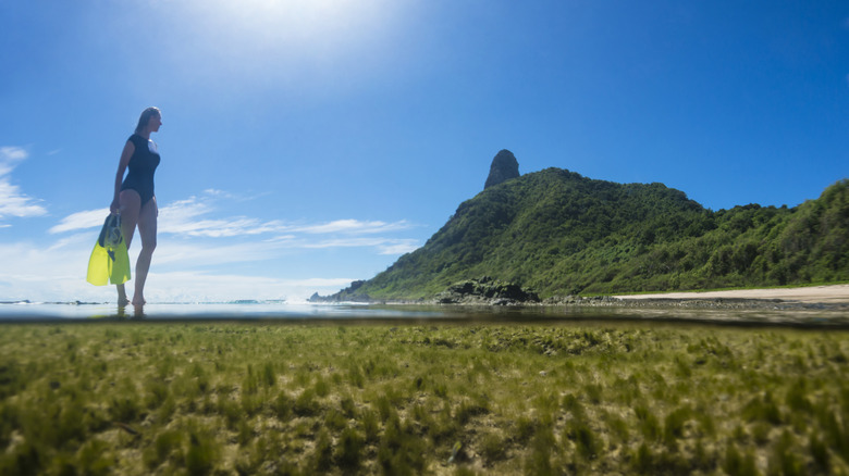 snorkeler Brazilian remote beach