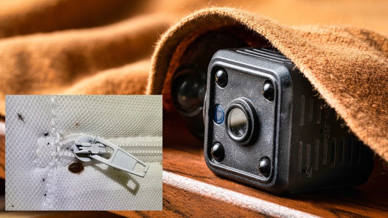 hidden camera and bed bug on mattress
