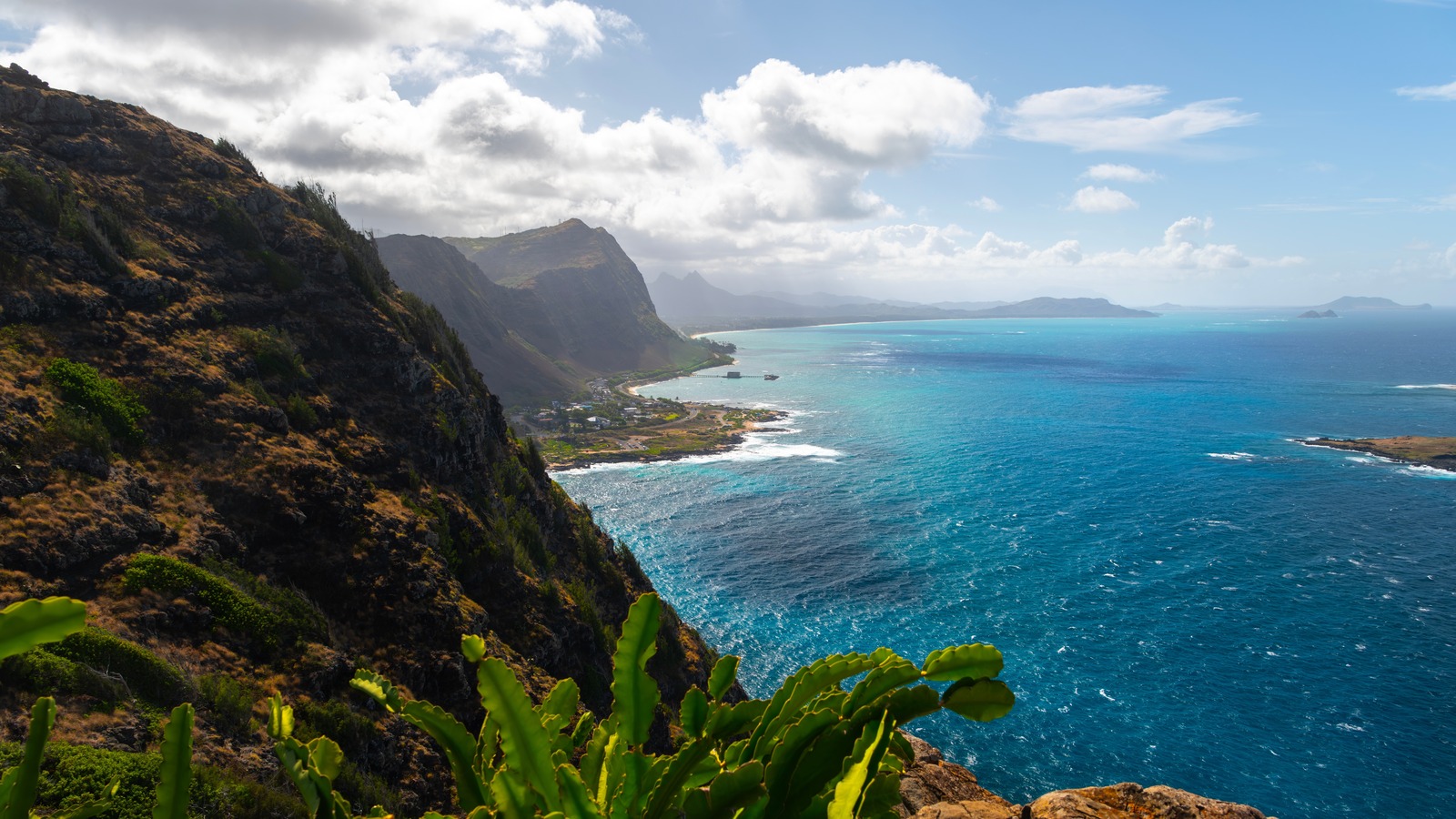 Tips To Avoid These Sneaky Expenses On Your Trip To Hawaii