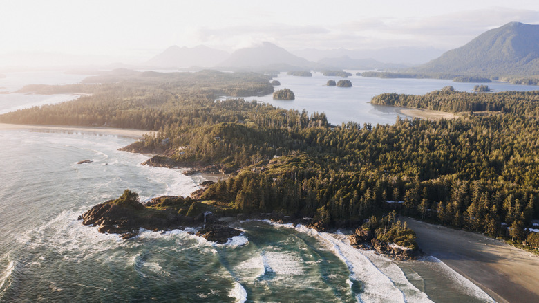 The forest-lined coast in Pacific Rim National Park Reserve, Canada