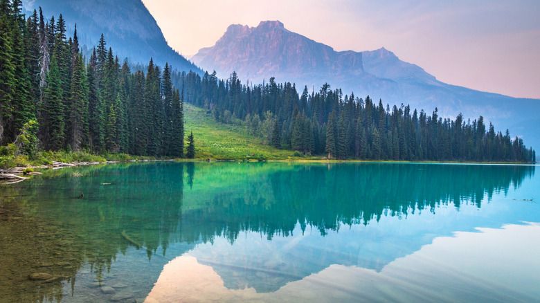 Pristine lake surrounded by trees and mountains in Yoho National Park, Canada