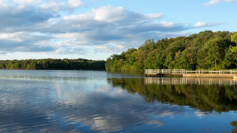 A view of a dock over a lake at Tobyhanna State Park