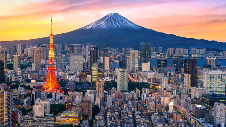Tokyo at twilight with Mt. Fuji and Tokyo Tower
