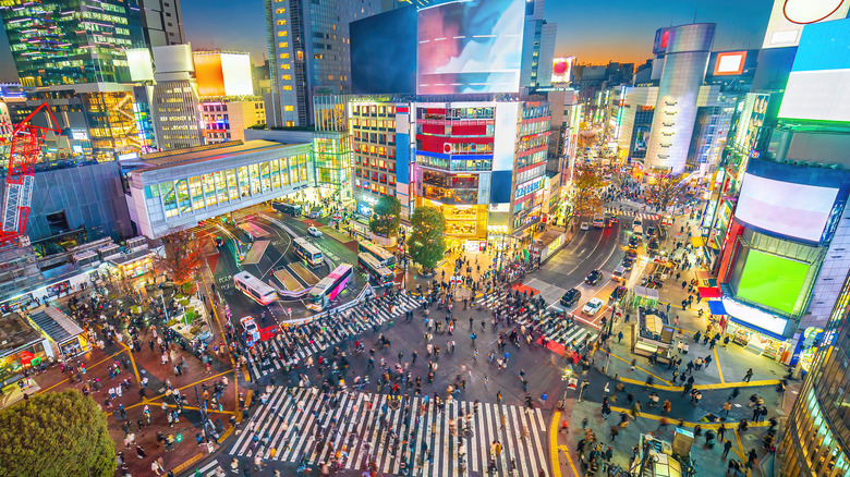 Shibuya Crossing at night