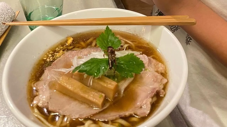 A cricket in the middle of Antcicada's ramen