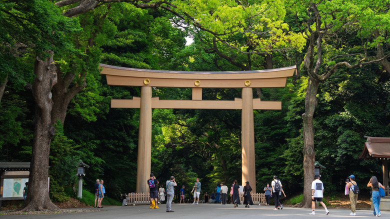 People walking under a torii surrounded by green trees in Tokyo, Japan