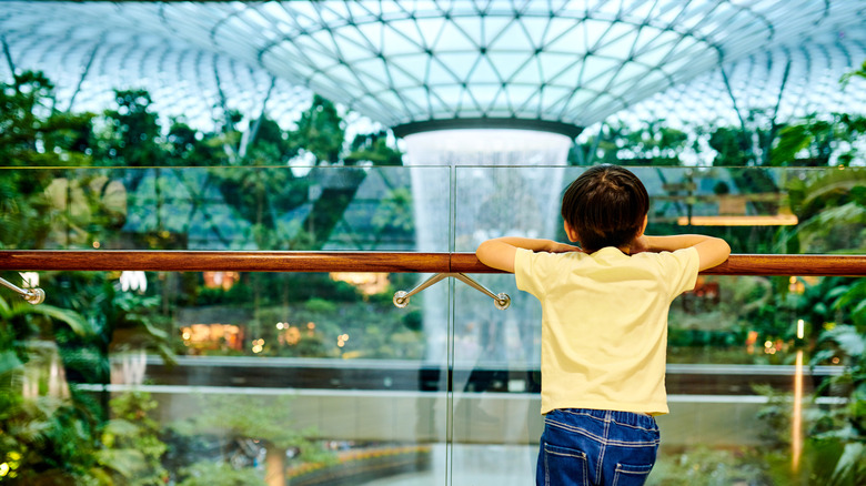 a young boy admiring the plants and waterfall at Singapore's Changi Airport