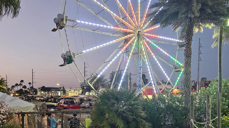 People waiting for the Ferris wheel at Gravity Park