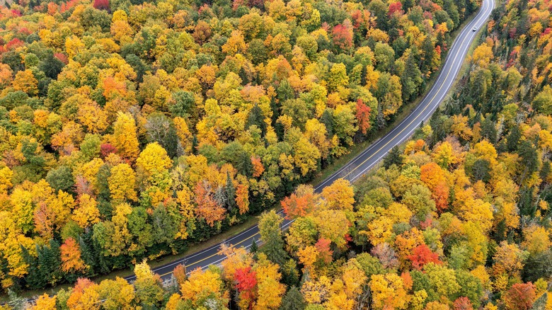 Winding road cutting through forest near Adirondack Mountains in Upstate New York