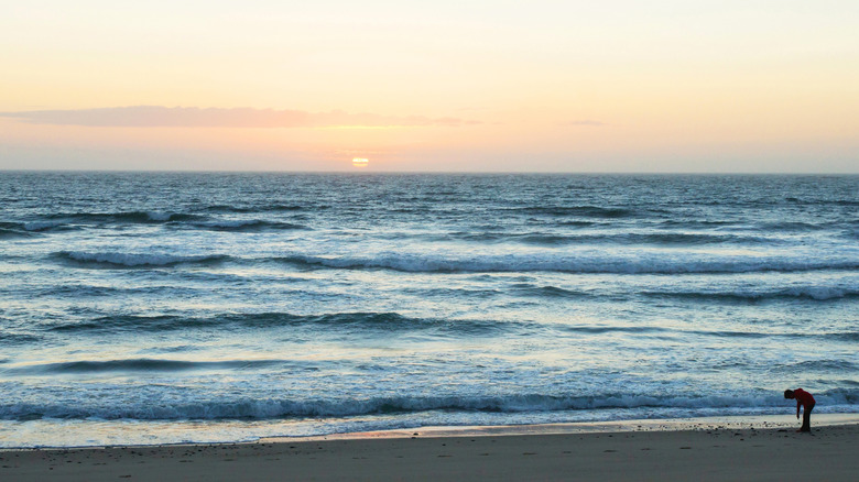 Tranquil sands at Coast Guard Beach in Eastham, Massachusetts