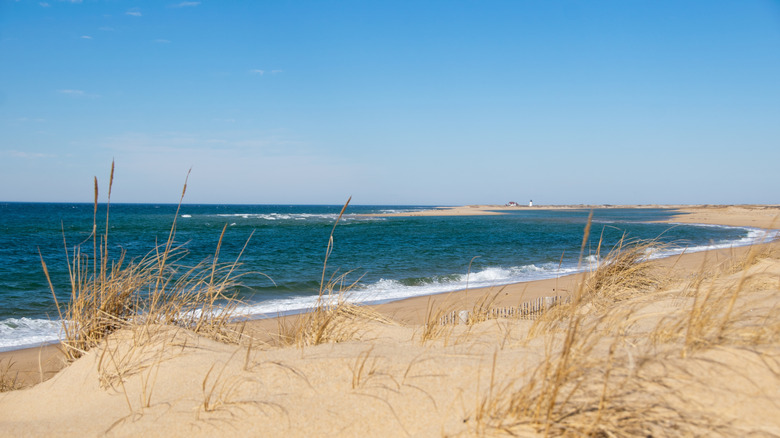 Sand at Herring Cove Beach looking towards Race Point Lighthouse in the distance