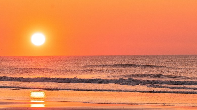 Sunset on beach in Cape May, New Jersey