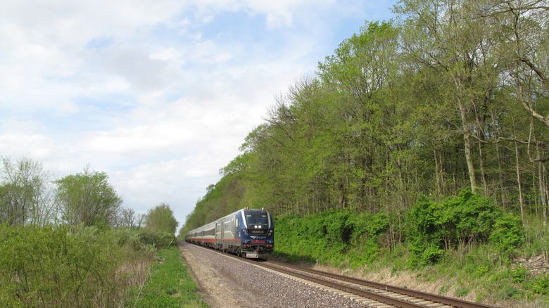 Amtrak train driving through Illinois scenery