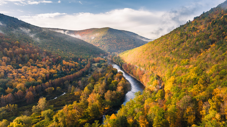 Pine Creek Gorge in the fall