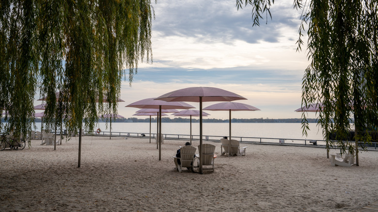 Sugar Beach in Toronto viewed through willow trees at sunset
