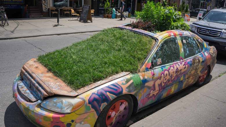 Garden Car in Toronto's Kensington Market neighborhood