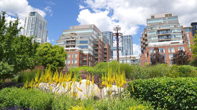 Greenery and yellow plants with modern condo buildings and sky in the background
