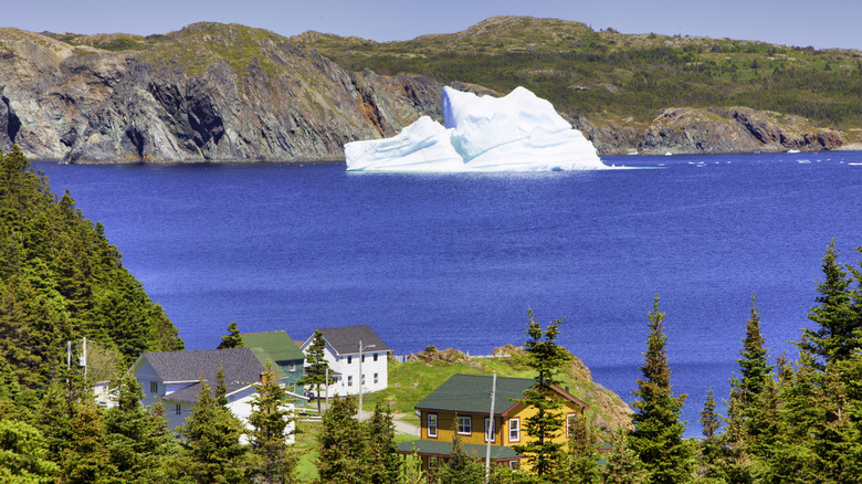 A giant iceberg cruising along the coast of Newfoundland, Canada, with picturesque coastal buildings in the forefront
