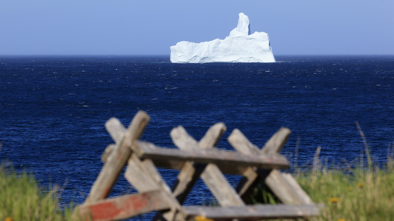 A fence along the Newfoundland coastline near the blue ocean, with one single iceberg