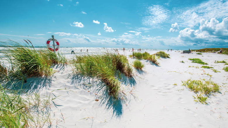 View of Dueodde Beach's white-sand dunes on Bornholm Island in Denmark, pictured on a bright day