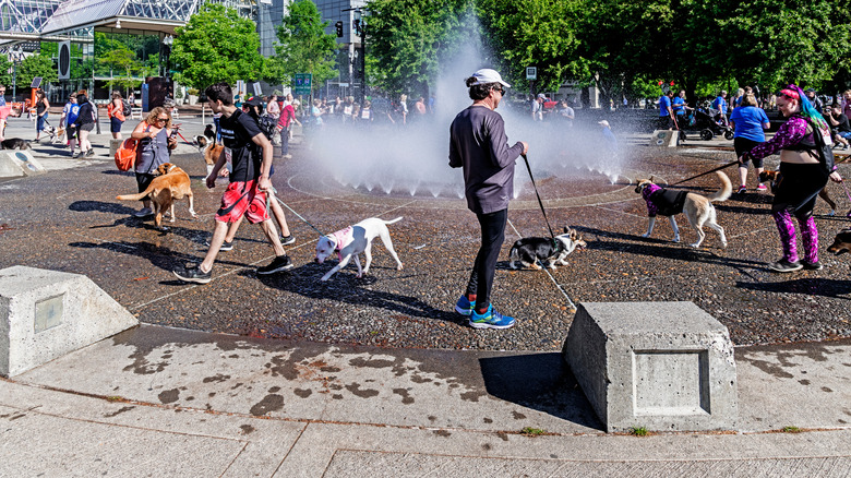 People cooling off in Portland, Oregon