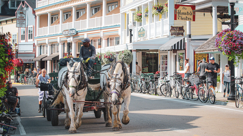 Horse-drawn carriage travels down town street with tourists and bicycles