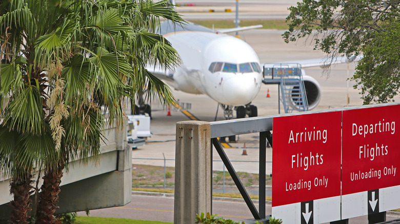 Plane at Tampa International Airport 